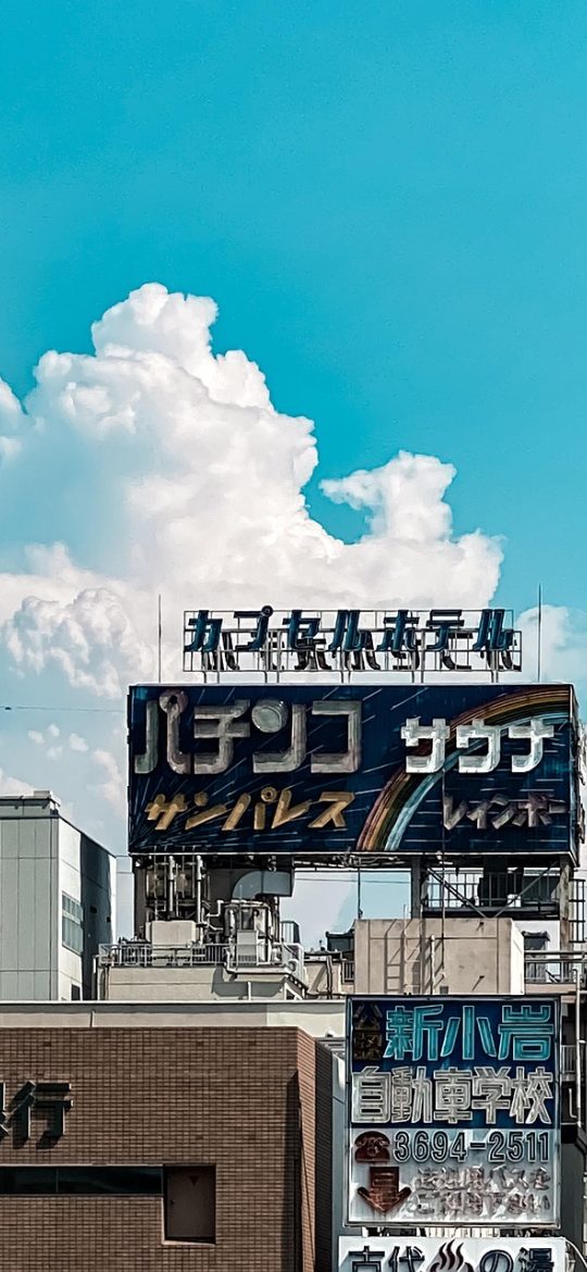 hanime1动漫 App 个人中心截图，观看记录与自定义片单分组排列，每条记录右侧带删除按钮